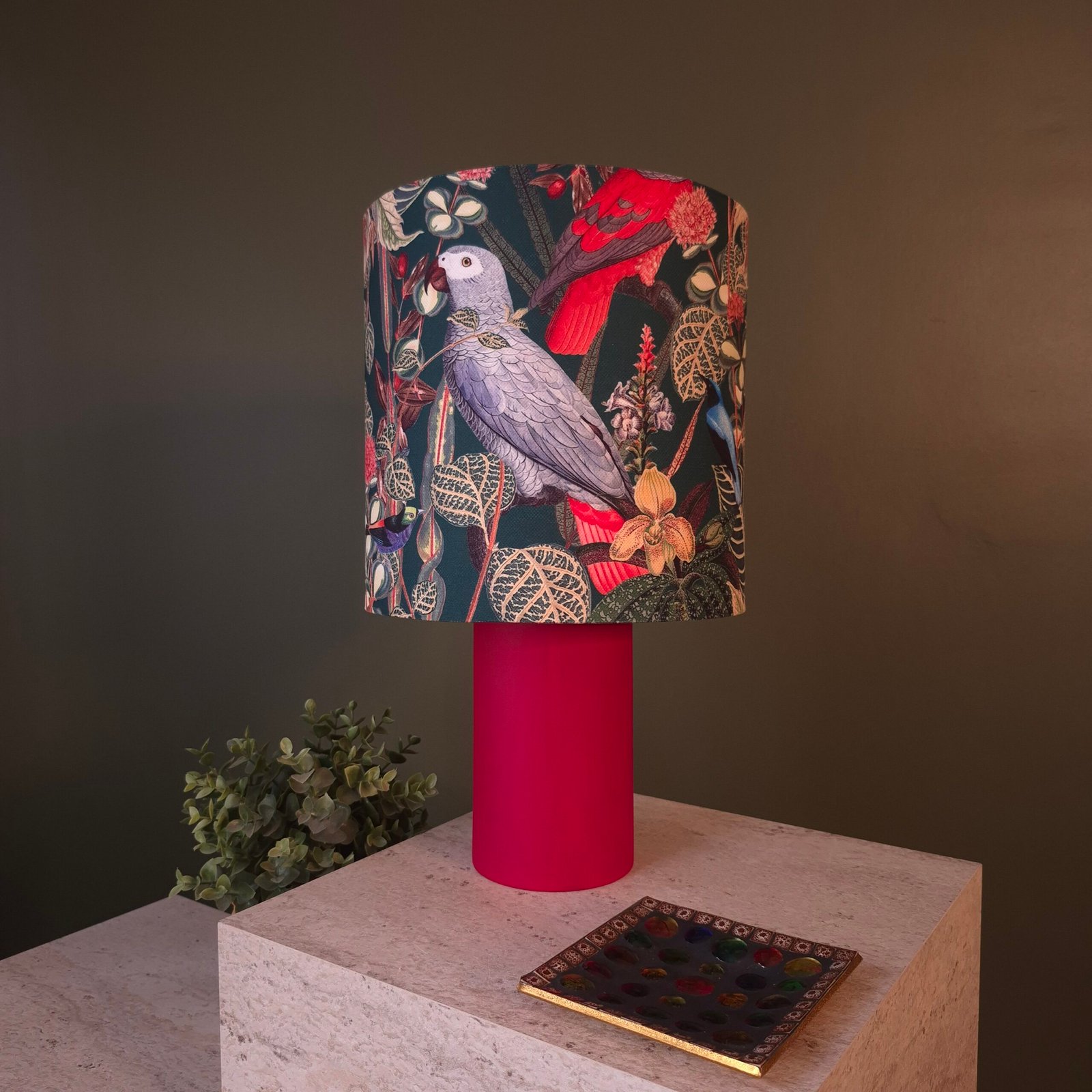 Afrika Gri Papağan Parrot Jardin
