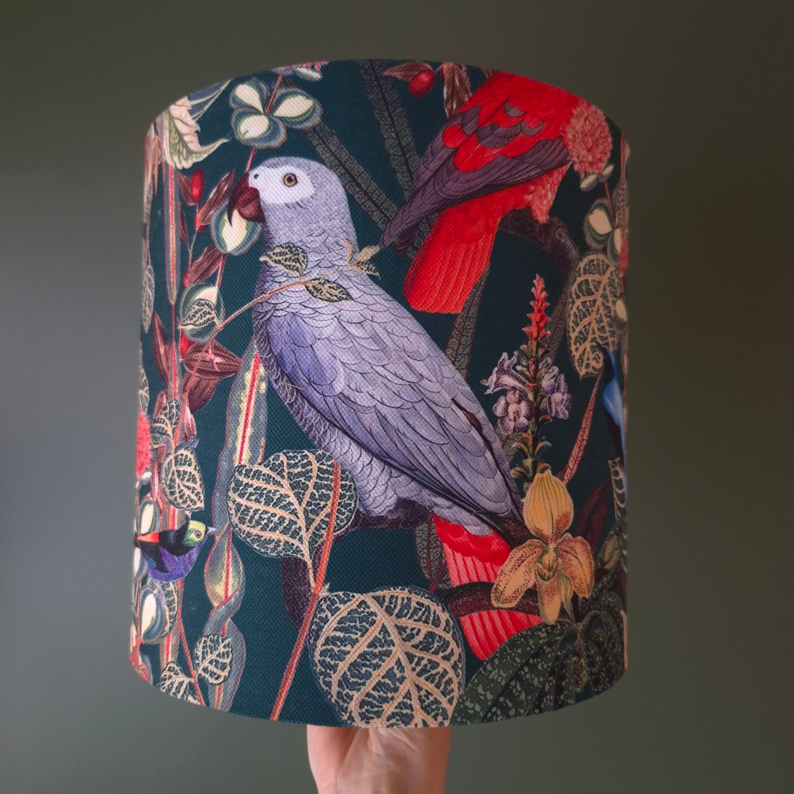 Afrika Gri Papağan Parrot Jardin - Görsel 8