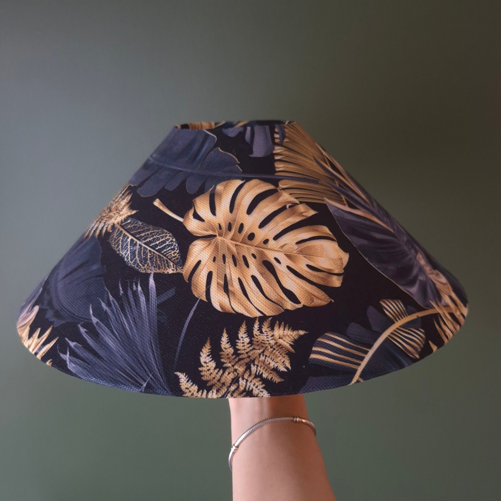 Altın Devetabanı Monstera Noir - Görsel 7