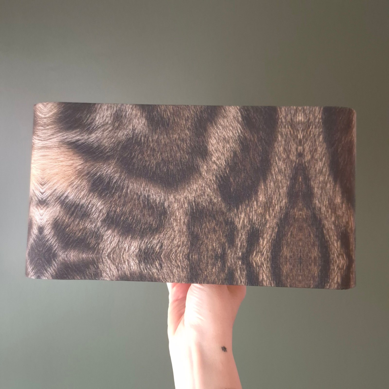 Dumanlı Pars Smoky Leopard - Görsel 9