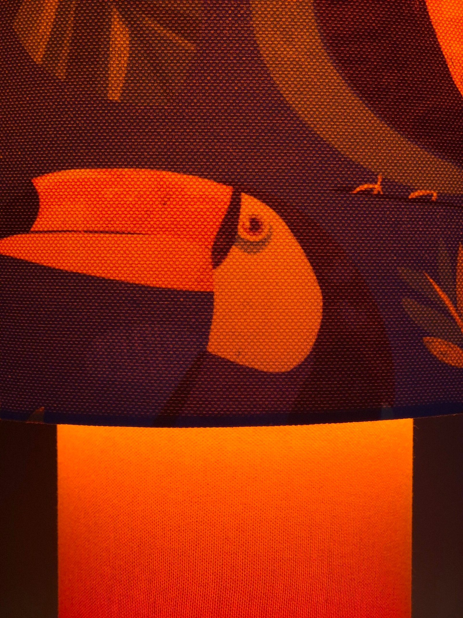 toucans (3) toucans (3)