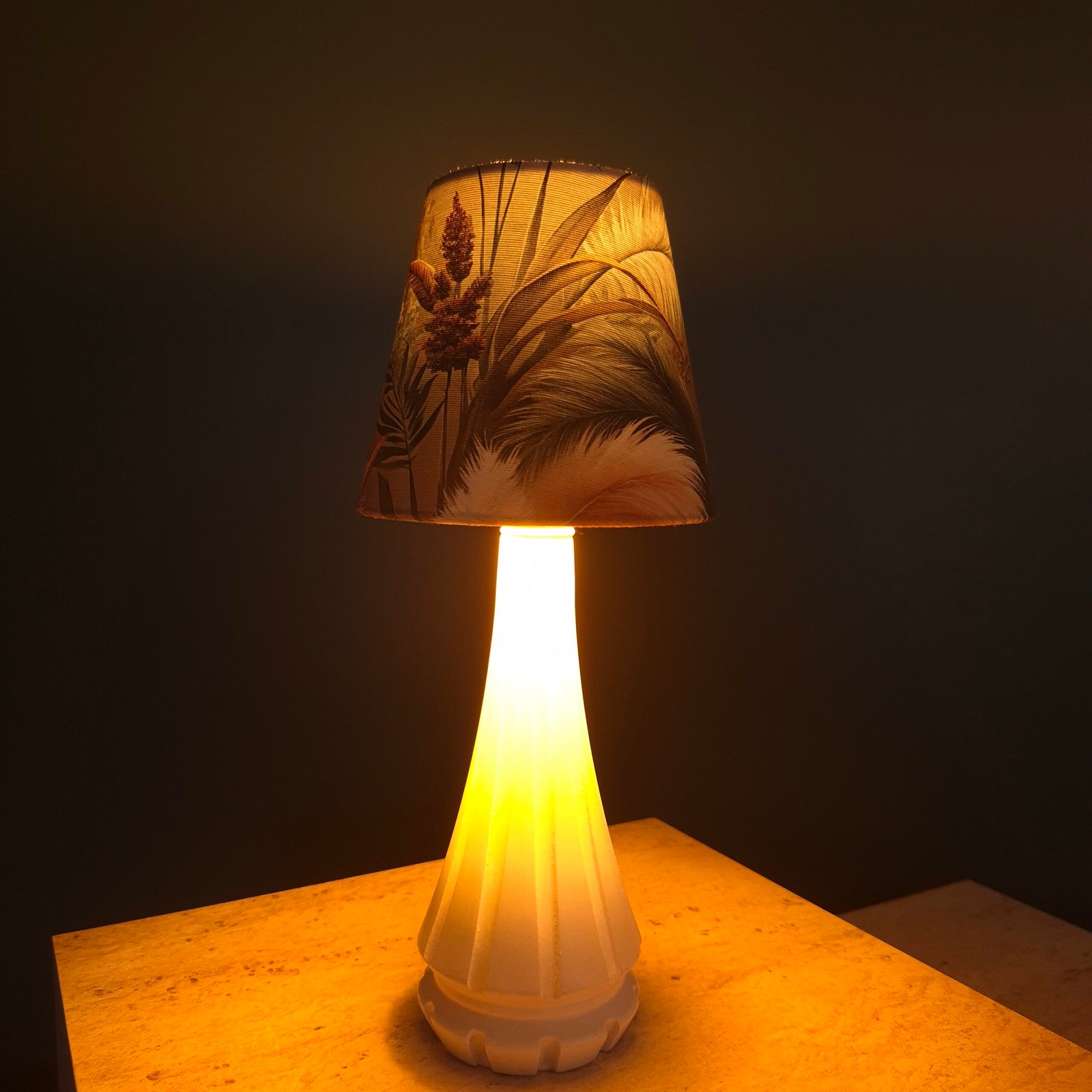 pampas glow aplik pampas glow aplik