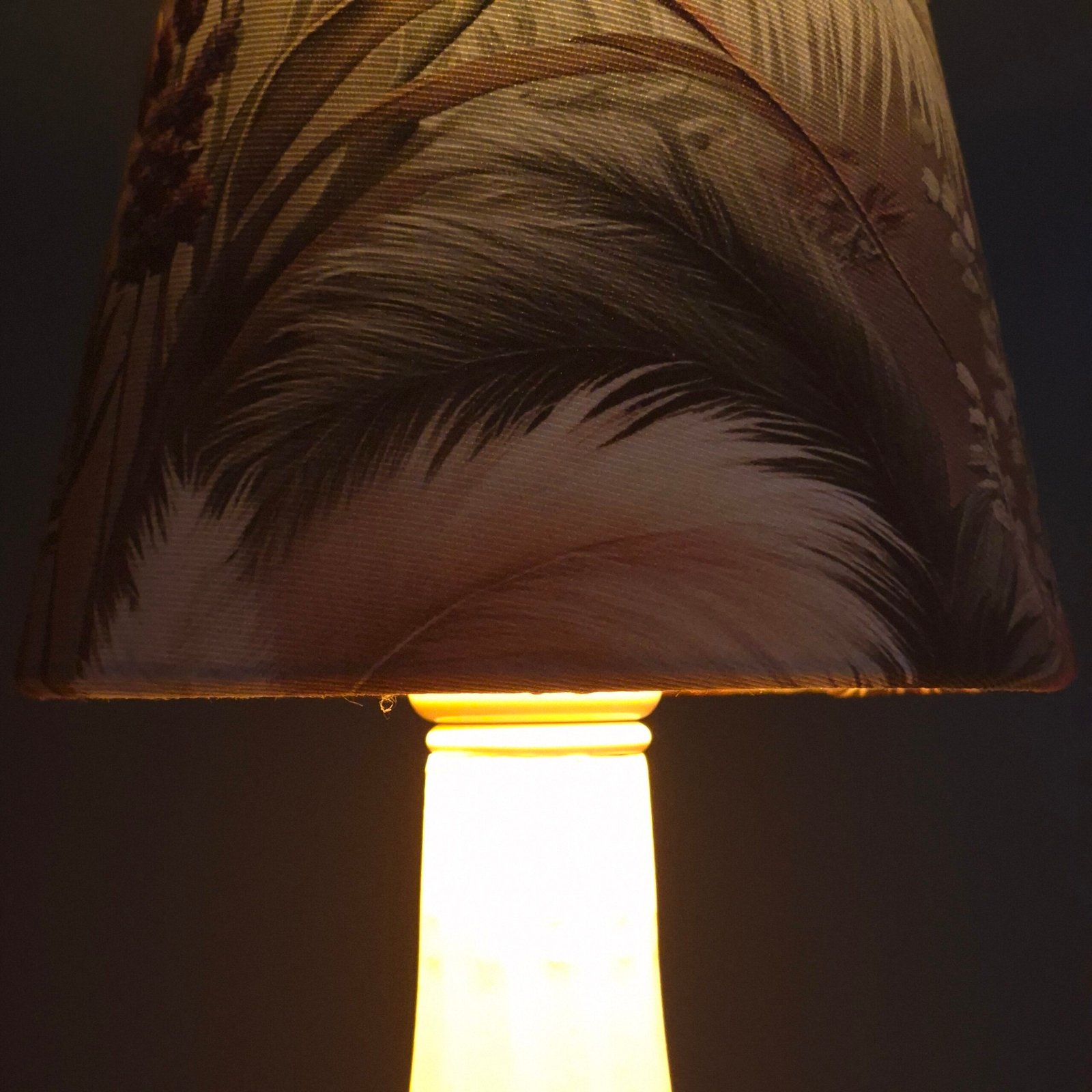 pampas glow aplik pampas glow aplik