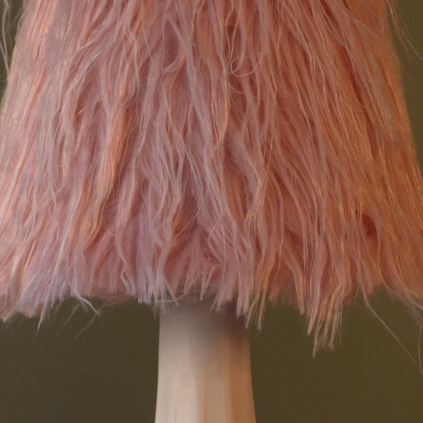 rose sauvage rose sauvage