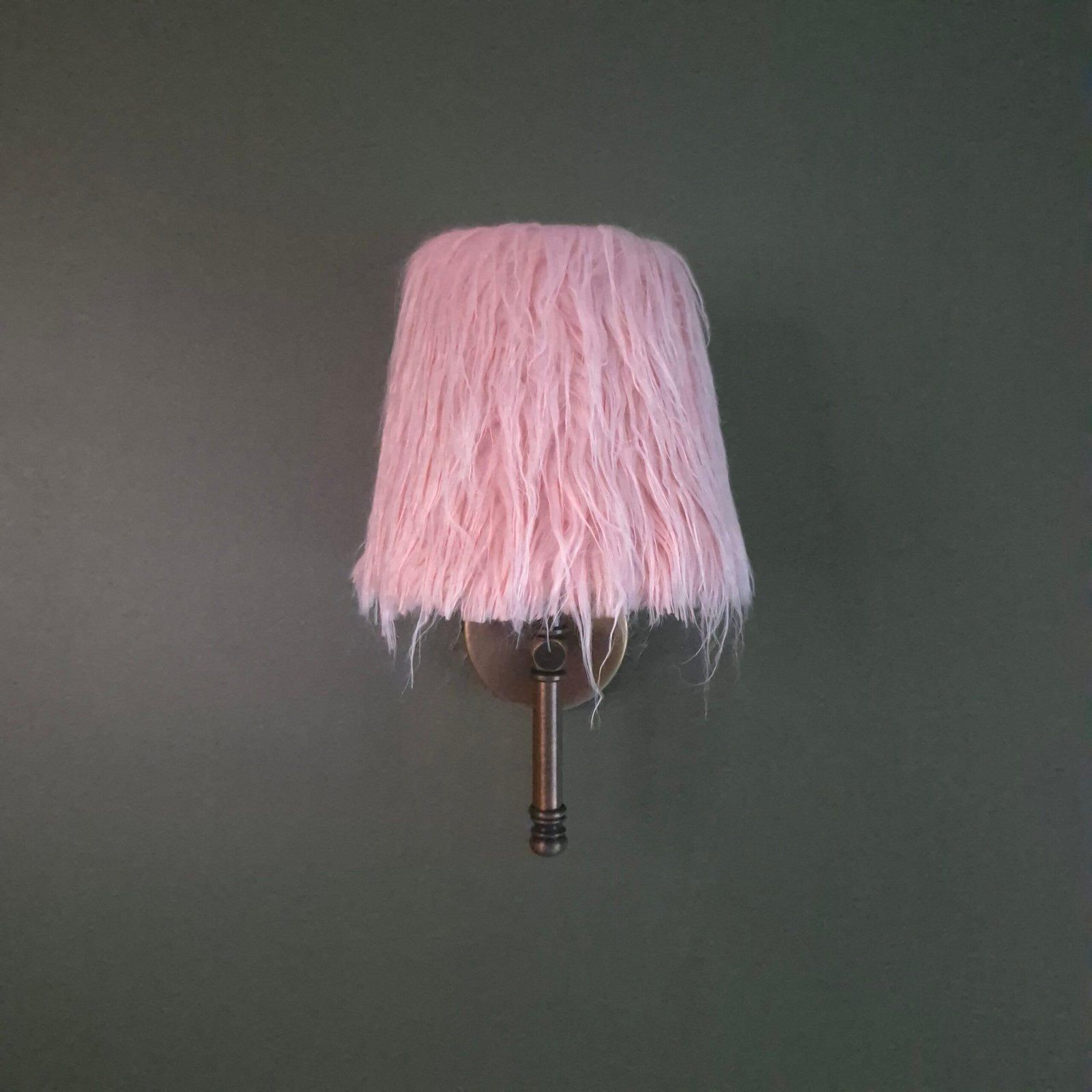 rose sauvage rose sauvage