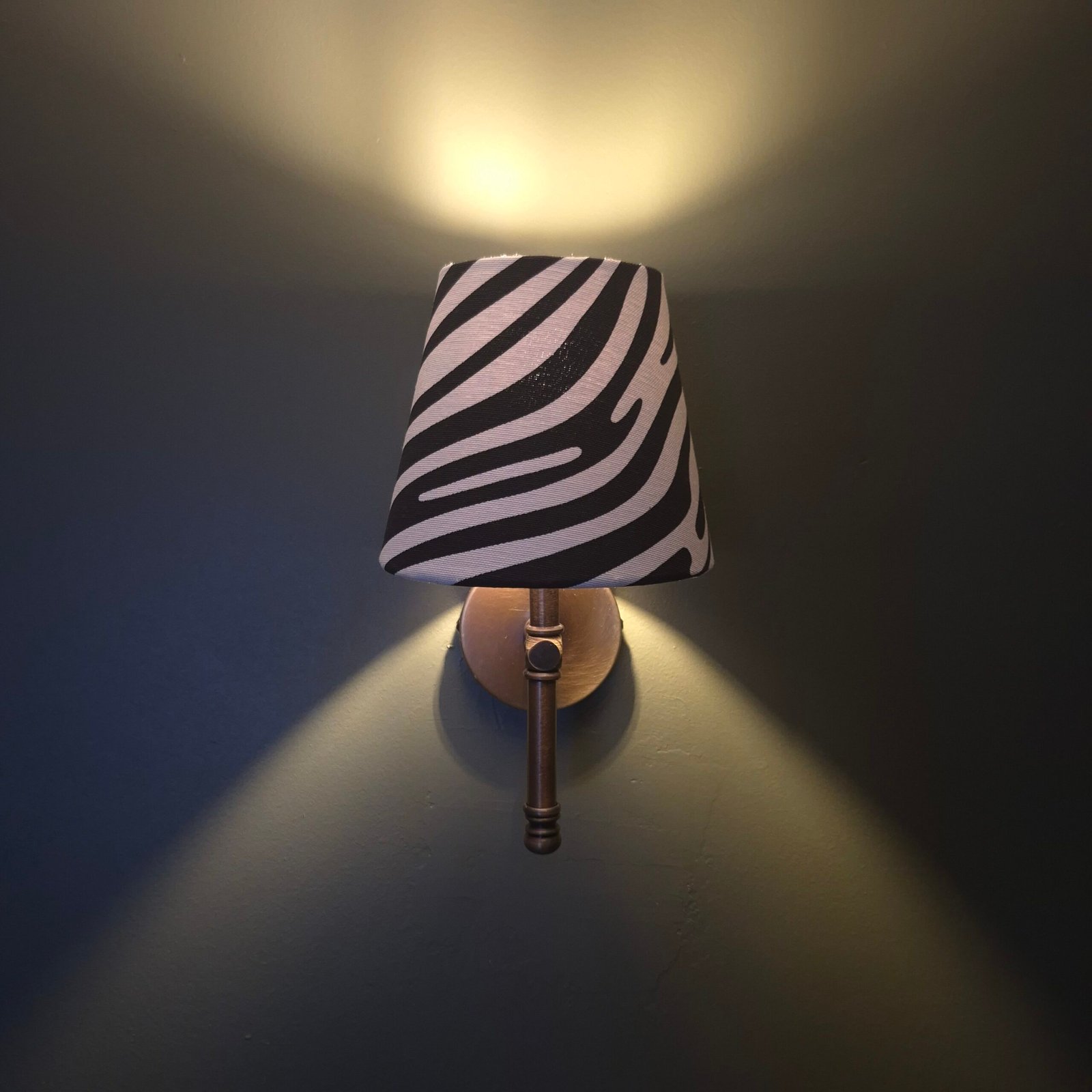 zebra Éclat zebra Éclat
