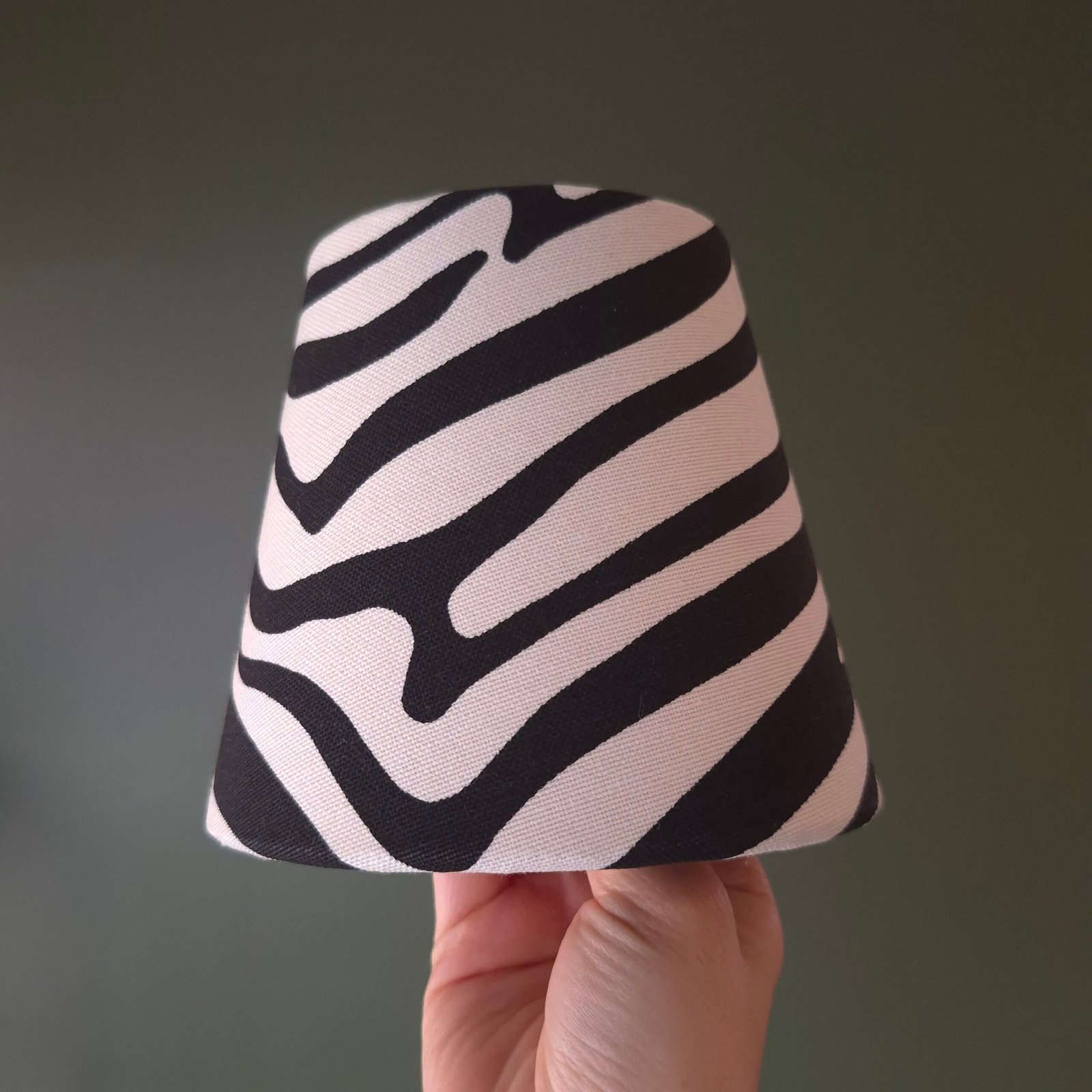 zebra Éclat zebra Éclat
