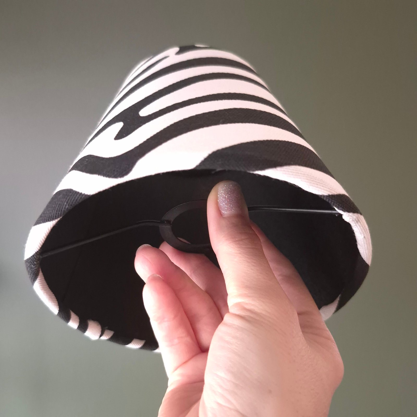 zebra Éclat zebra Éclat